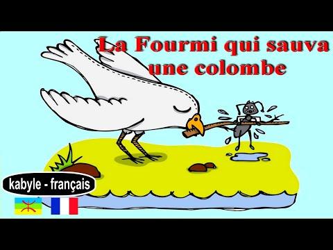 Conte en kabyle français, la fourmi qui sauva une colombe